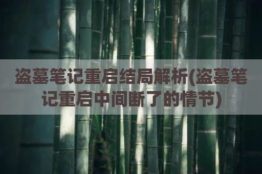 盗墓笔记重启结局解析(盗墓笔记重启中间断了的情节)
