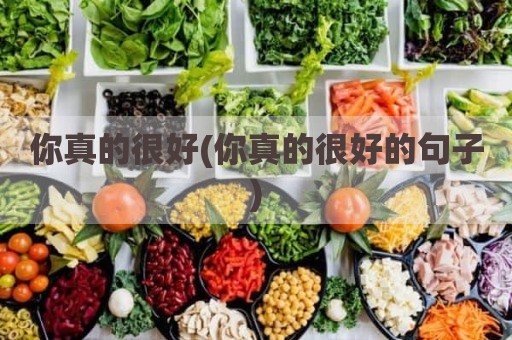 你真的很好(你真的很好的句子)