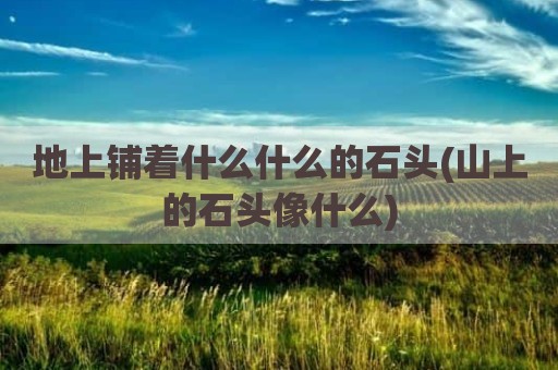 地上铺着什么什么的石头(山上的石头像什么)