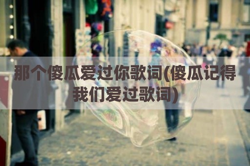 那个傻瓜爱过你歌词(傻瓜记得我们爱过歌词)