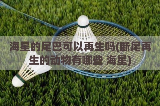 海星的尾巴可以再生吗(断尾再生的动物有哪些 海星)