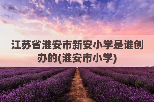 江苏省淮安市新安小学是谁创办的(淮安市小学)