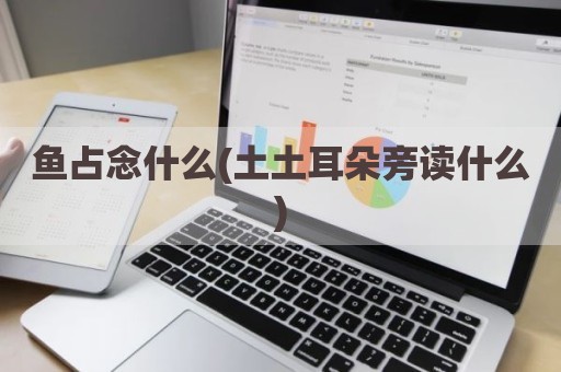鱼占念什么(土土耳朵旁读什么)