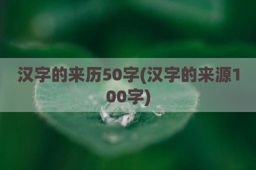 汉字的来历50字(汉字的来源100字)