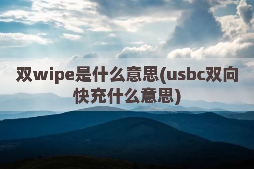双wipe是什么意思(usbc双向快充什么意思)