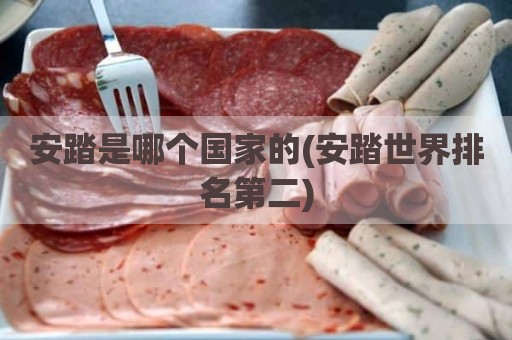 安踏是哪个国家的(安踏世界排名第二)