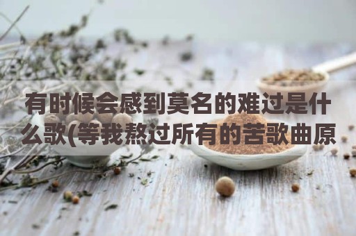 有时候会感到莫名的难过是什么歌(等我熬过所有的苦歌曲原唱)