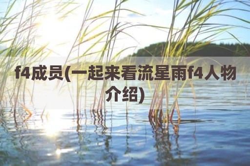 f4成员(一起来看流星雨f4人物介绍)