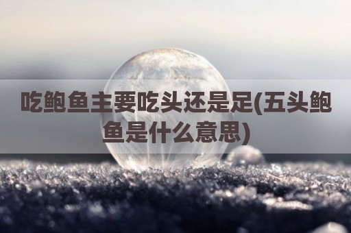 吃鲍鱼主要吃头还是足(五头鲍鱼是什么意思)