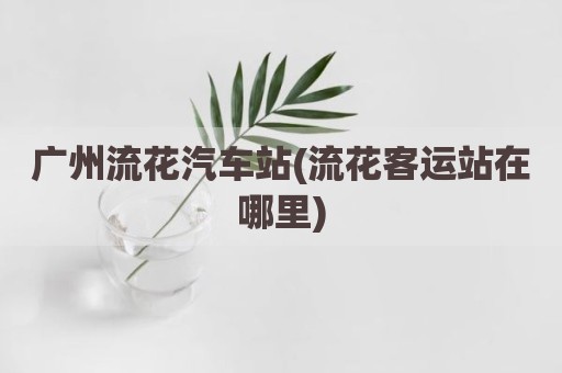 广州流花汽车站(流花客运站在哪里)