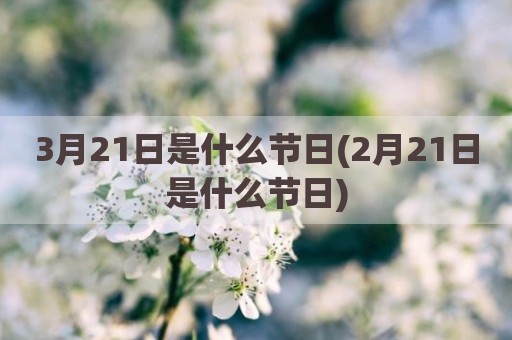 3月21日是什么节日(2月21日是什么节日)