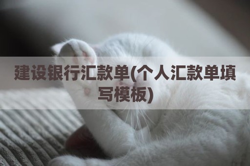 建设银行汇款单(个人汇款单填写模板)