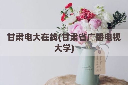 甘肃电大在线(甘肃省广播电视大学)