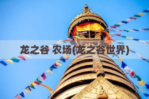 龙之谷 农场(龙之谷世界)