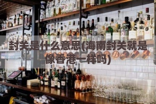 封关是什么意思(海南封关就是像香港一样吗)
