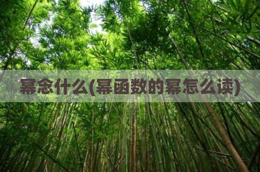 幂念什么(幂函数的幂怎么读)