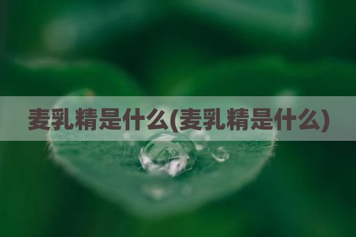 麦乳精是什么(麦乳精是什么)