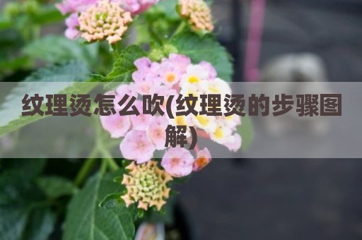 纹理烫怎么吹(纹理烫的步骤图解)