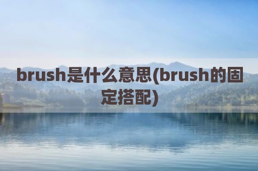 brush是什么意思(brush的固定搭配)