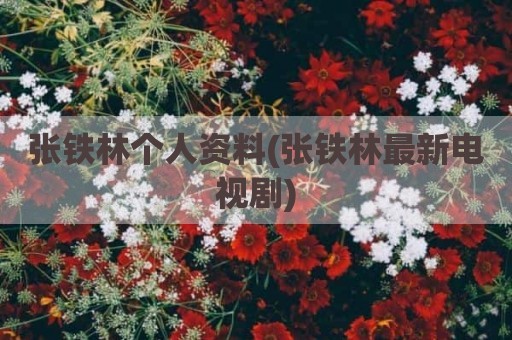 张铁林个人资料(张铁林最新电视剧)