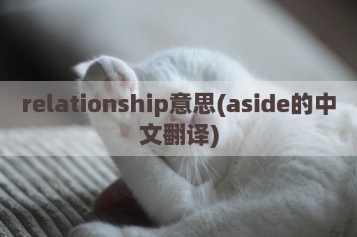 relationship意思(aside的中文翻译)