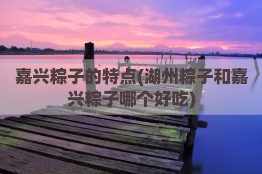 嘉兴粽子的特点(湖州粽子和嘉兴粽子哪个好吃)