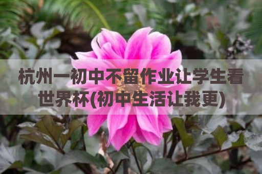 杭州一初中不留作业让学生看世界杯(初中生活让我更)