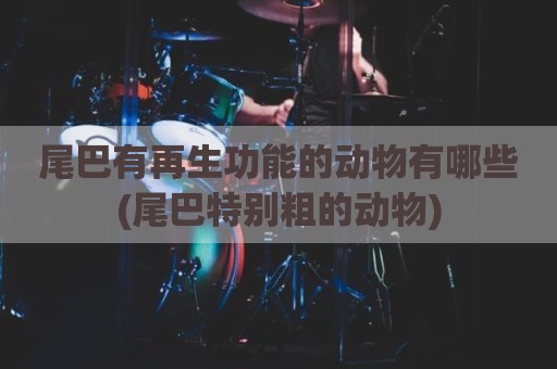 尾巴有再生功能的动物有哪些(尾巴特别粗的动物)