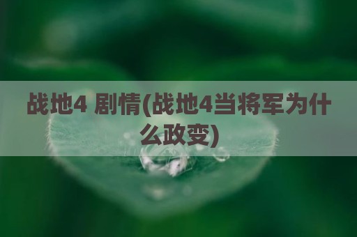 战地4 剧情(战地4当将军为什么政变)