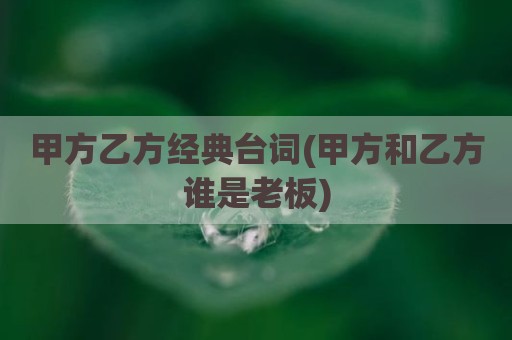 甲方乙方经典台词(甲方和乙方谁是老板)