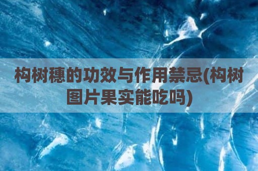 构树穗的功效与作用禁忌(构树图片果实能吃吗)