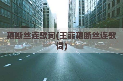 藕断丝连歌词(王菲藕断丝连歌词)