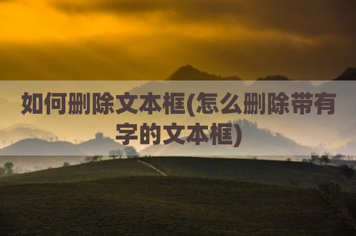 如何删除文本框(怎么删除带有字的文本框)