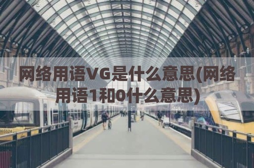 网络用语VG是什么意思(网络用语1和0什么意思)