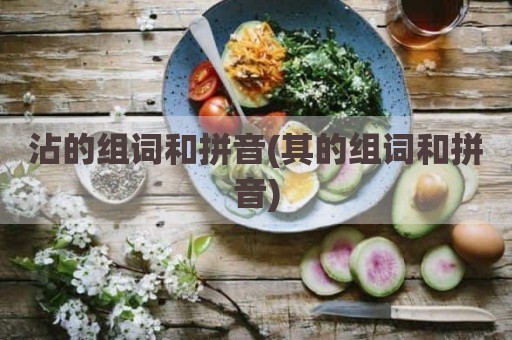 沾的组词和拼音(其的组词和拼音)