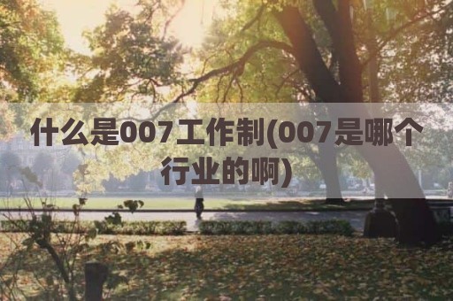 什么是007工作制(007是哪个行业的啊)