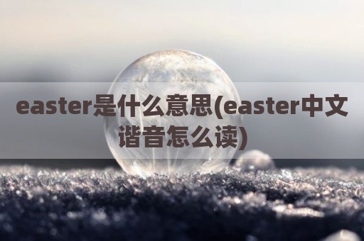 easter是什么意思(easter中文谐音怎么读)