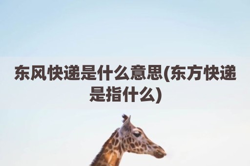 东风快递是什么意思(东方快递是指什么)