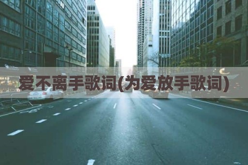 爱不离手歌词(为爱放手歌词)