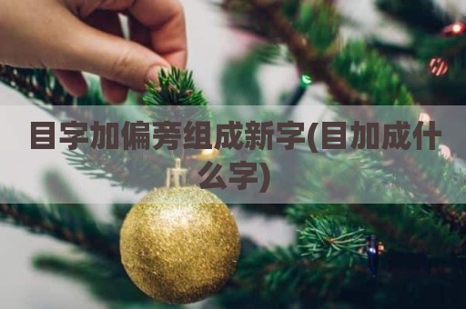 目字加偏旁组成新字(目加成什么字)