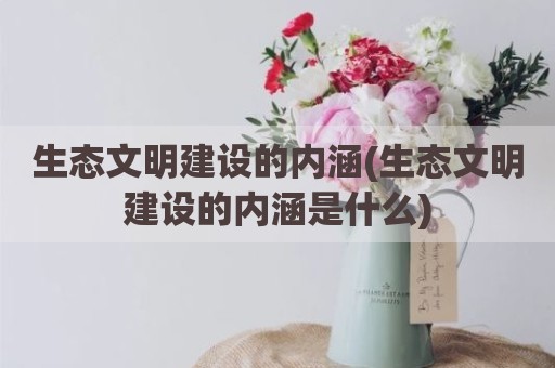 生态文明建设的内涵(生态文明建设的内涵是什么)