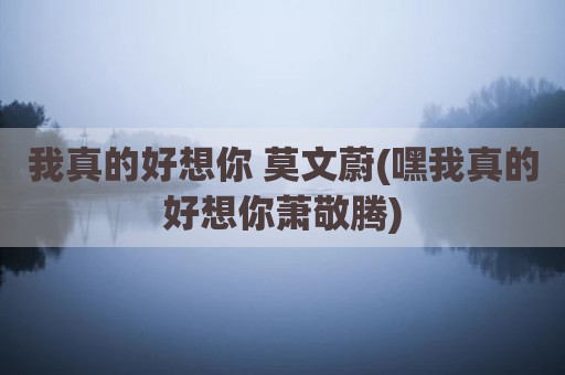 我真的好想你 莫文蔚(嘿我真的好想你萧敬腾)