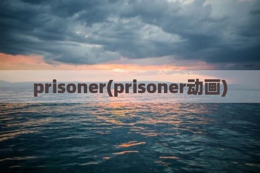 prisoner(prisoner动画)
