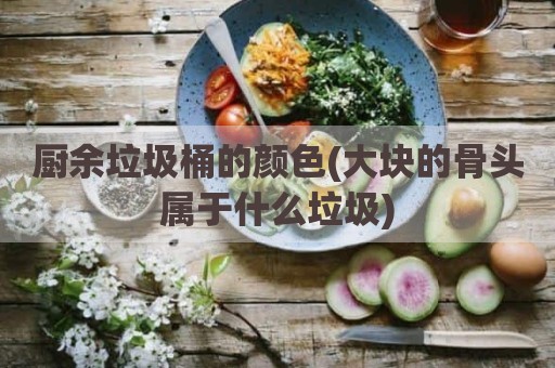 厨余垃圾桶的颜色(大块的骨头属于什么垃圾)