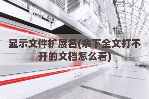 显示文件扩展名(余下全文打不开的文档怎么看)