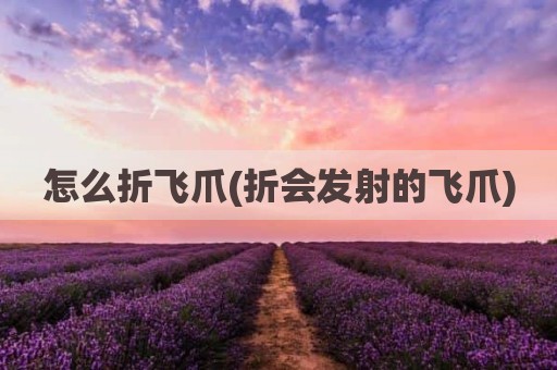 怎么折飞爪(折会发射的飞爪)
