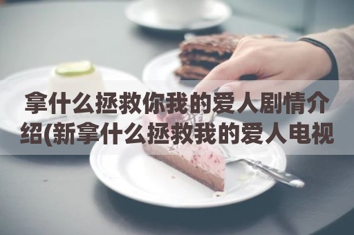 拿什么拯救你我的爱人剧情介绍(新拿什么拯救我的爱人电视剧)