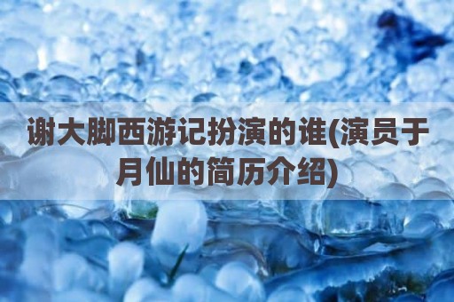 谢大脚西游记扮演的谁(演员于月仙的简历介绍)