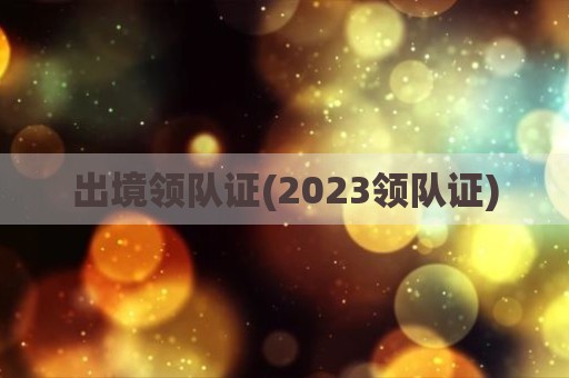 出境领队证(2023领队证)