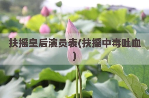 扶摇皇后演员表(扶摇中毒吐血)